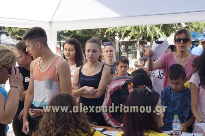 alexandriamou_1_alexandrinos_dromos098